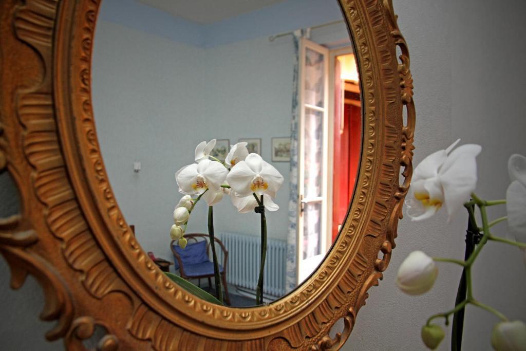 Logis Hotel Saint Clair Albi Dış mekan fotoğraf